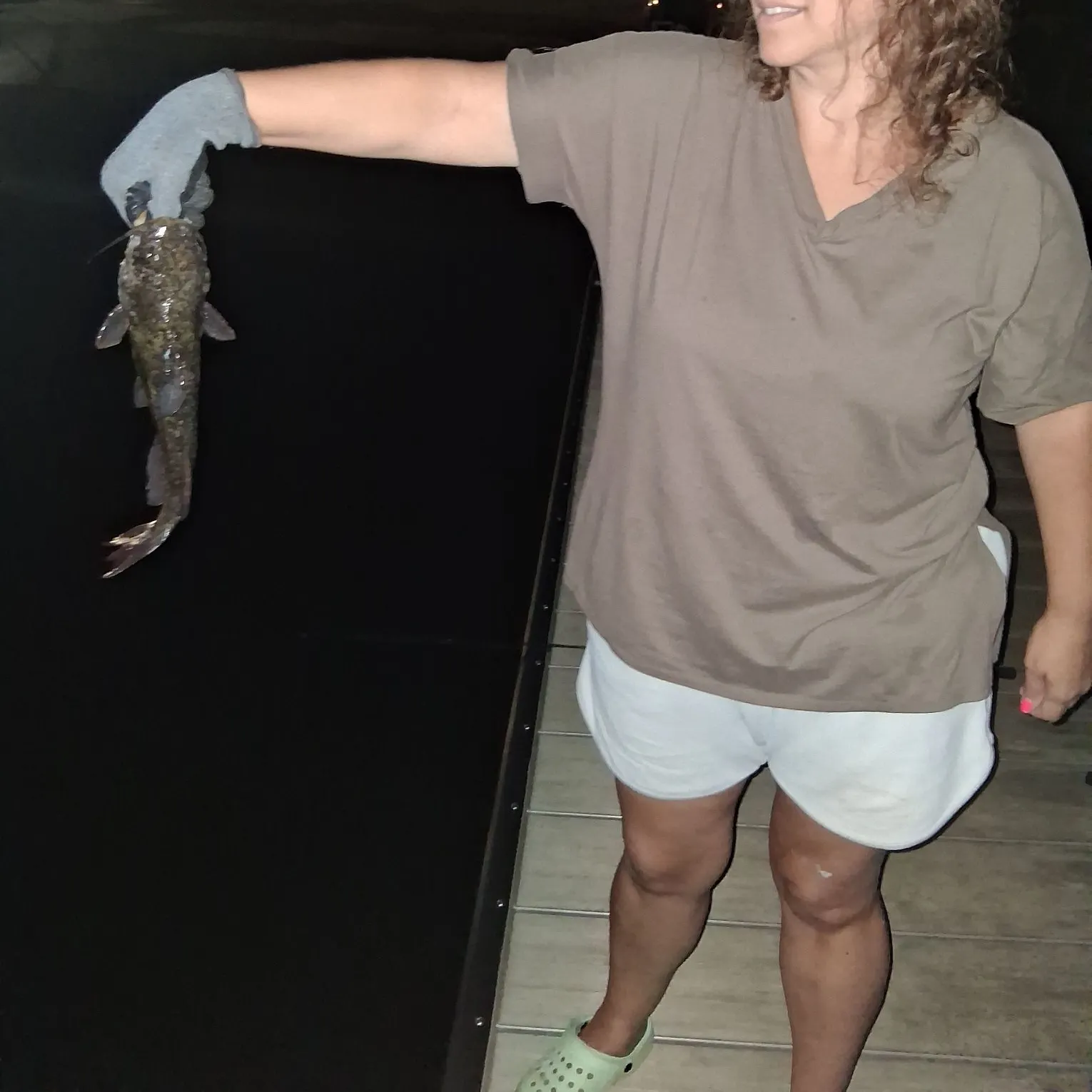 Brown bullhead caught on Fishbrain