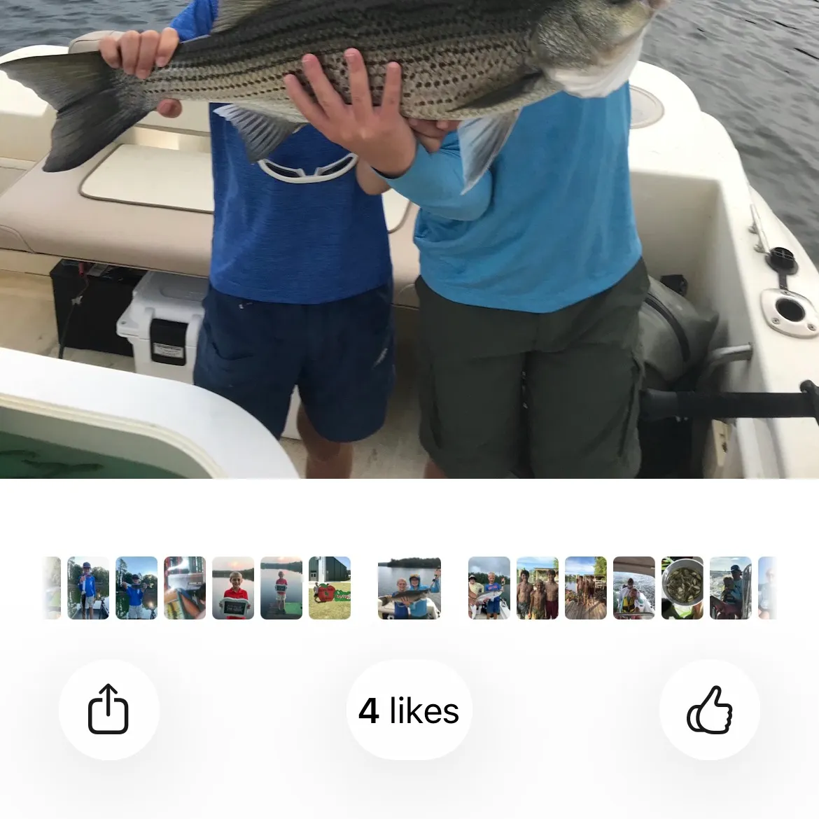 recently logged catches