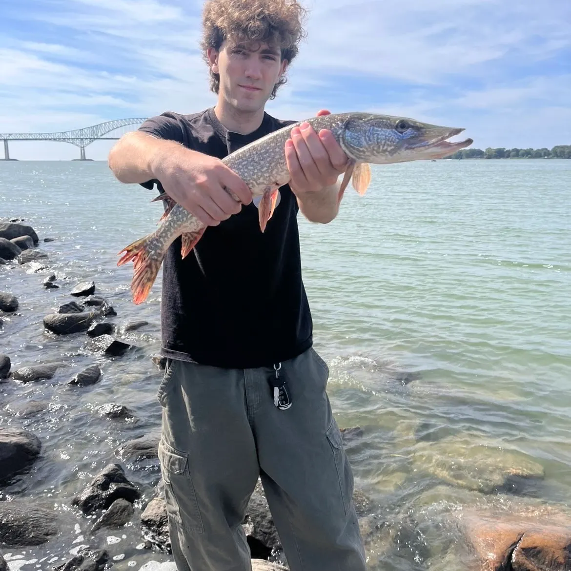 Northern pike caught on Fishbrain