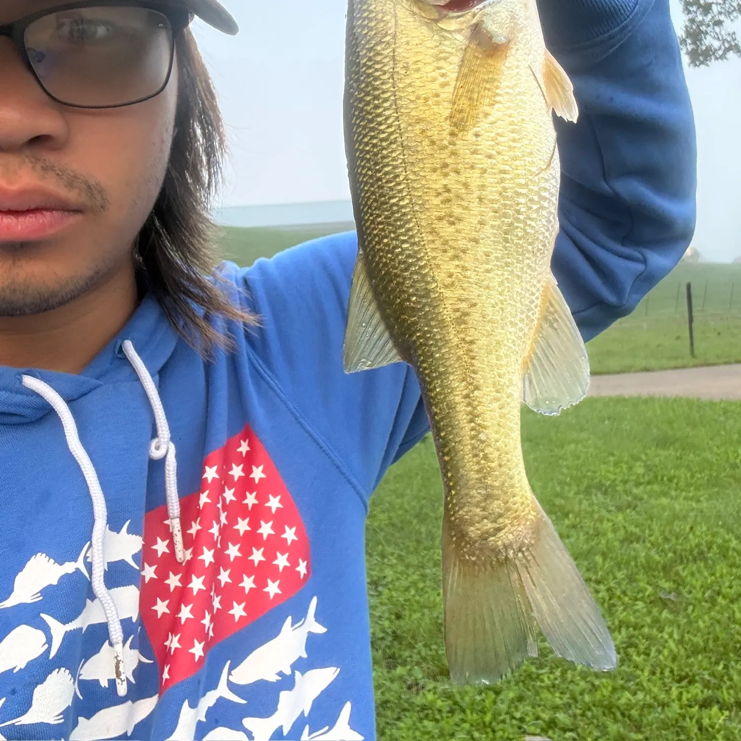 Largemouth bass caught on Fishbrain