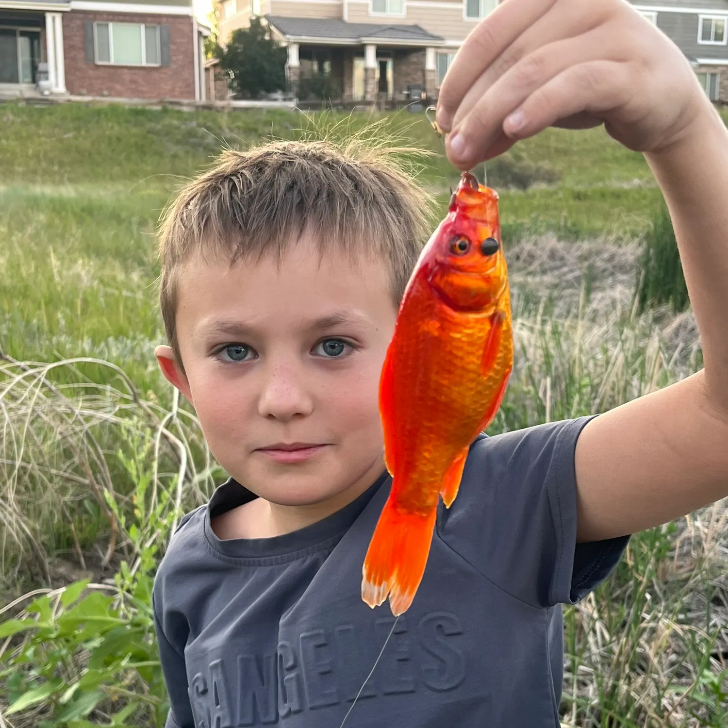The most recent Goldfish catches on Fishbrain