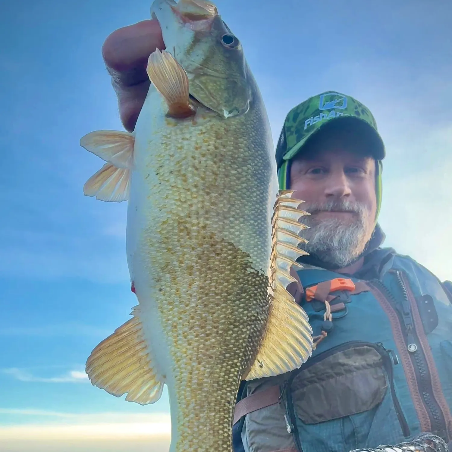 The most recent Smallmouth bass catches on Fishbrain