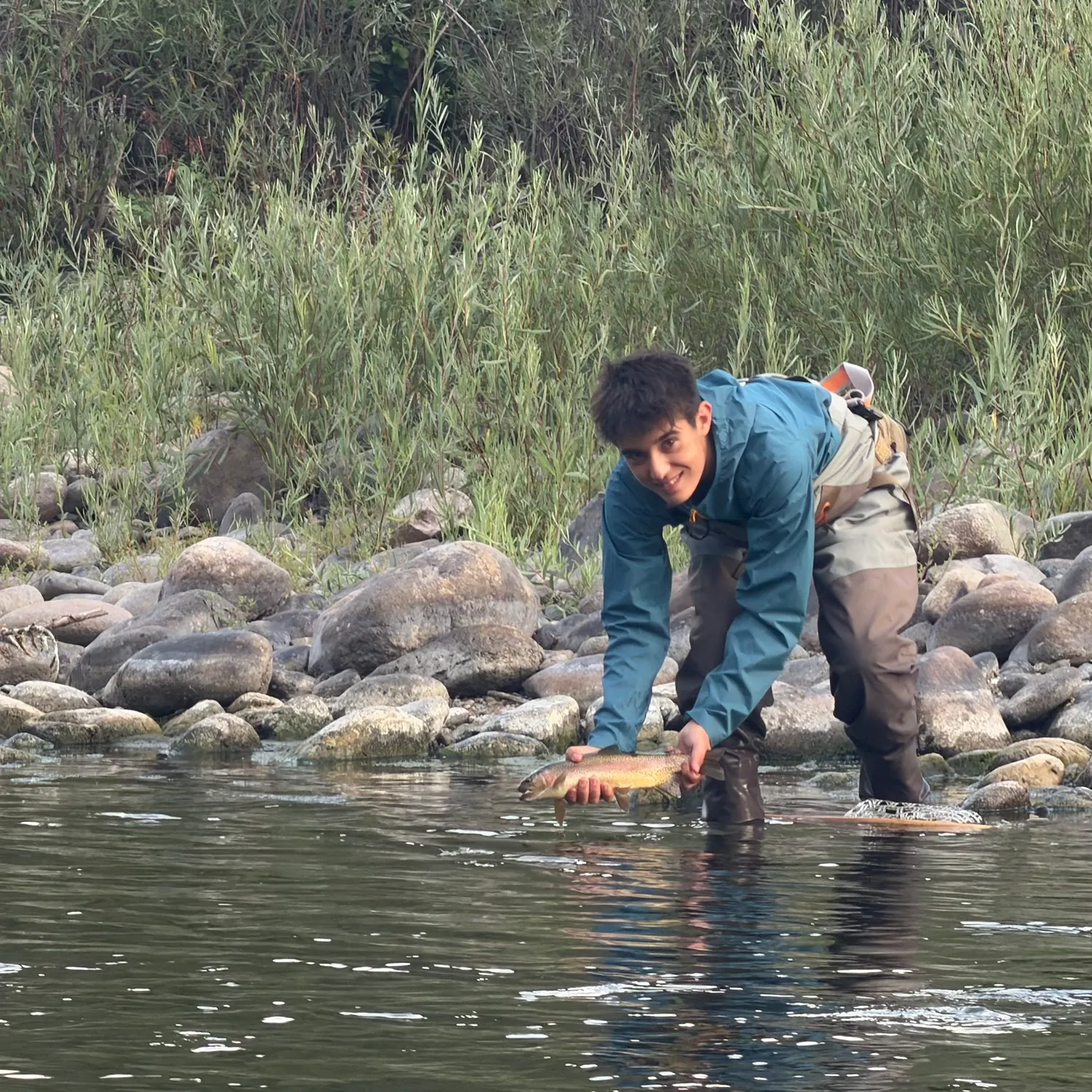 Rainbow trout caught on Fishbrain