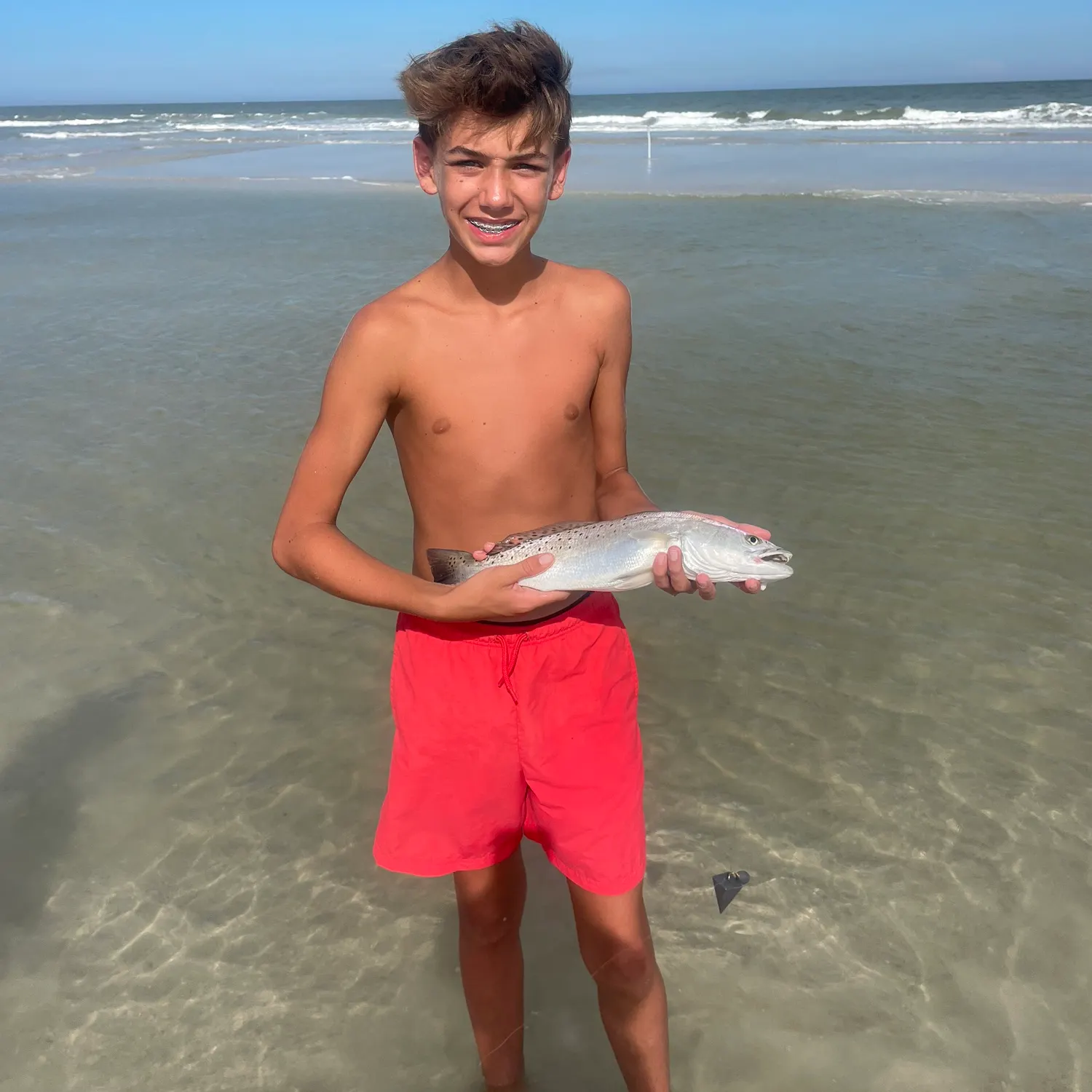 The most recent Yellowfin sillago catches on Fishbrain