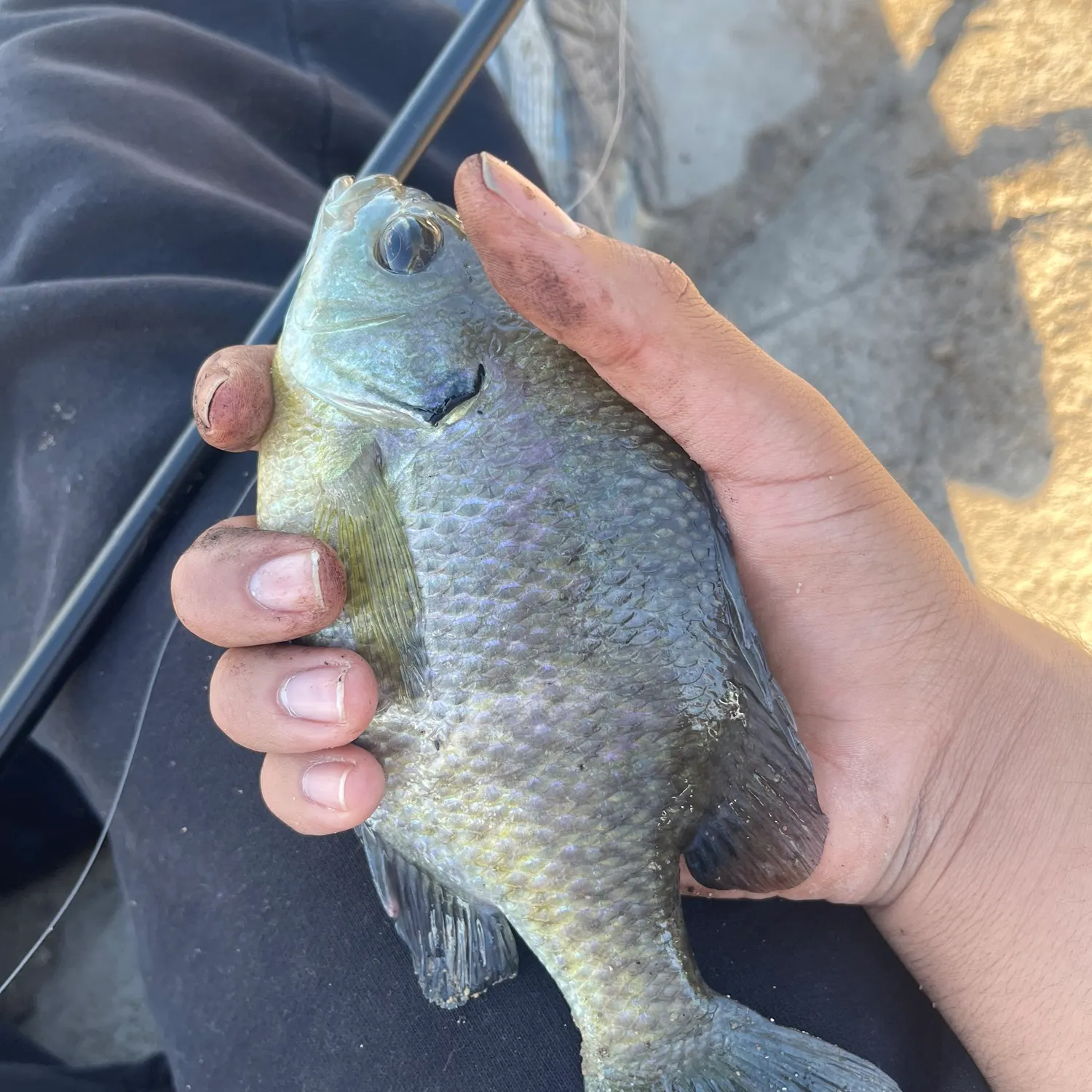 catch