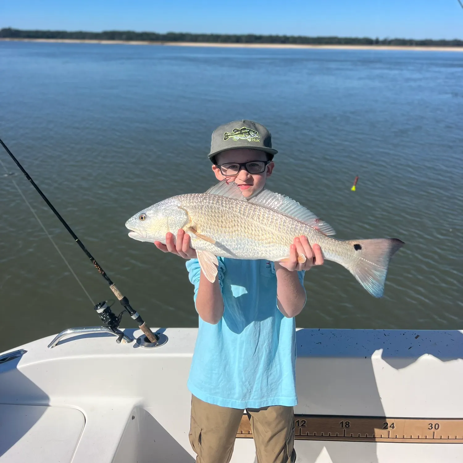 The most recent Blackspotted croaker catches on Fishbrain