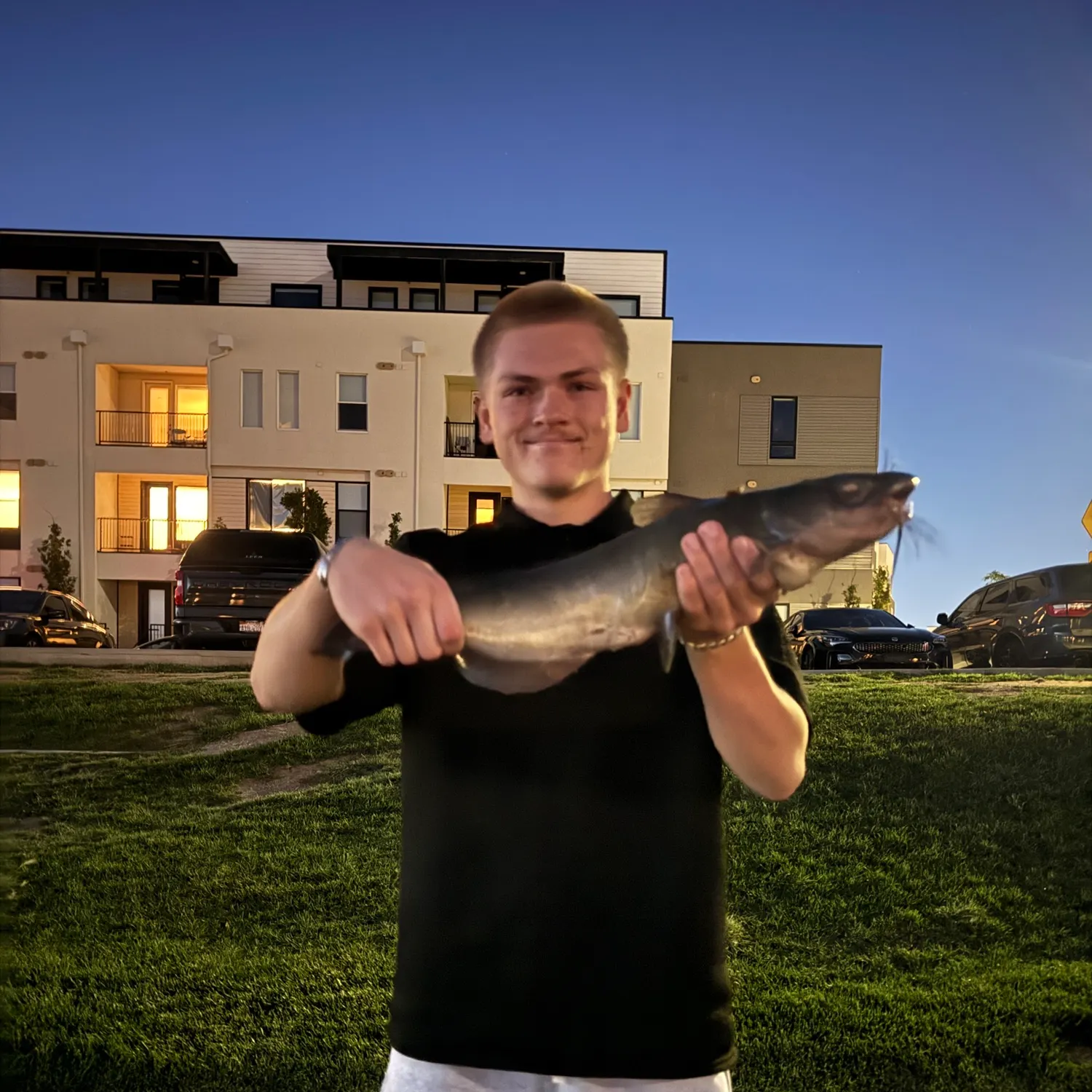 Channel catfish caught on Fishbrain