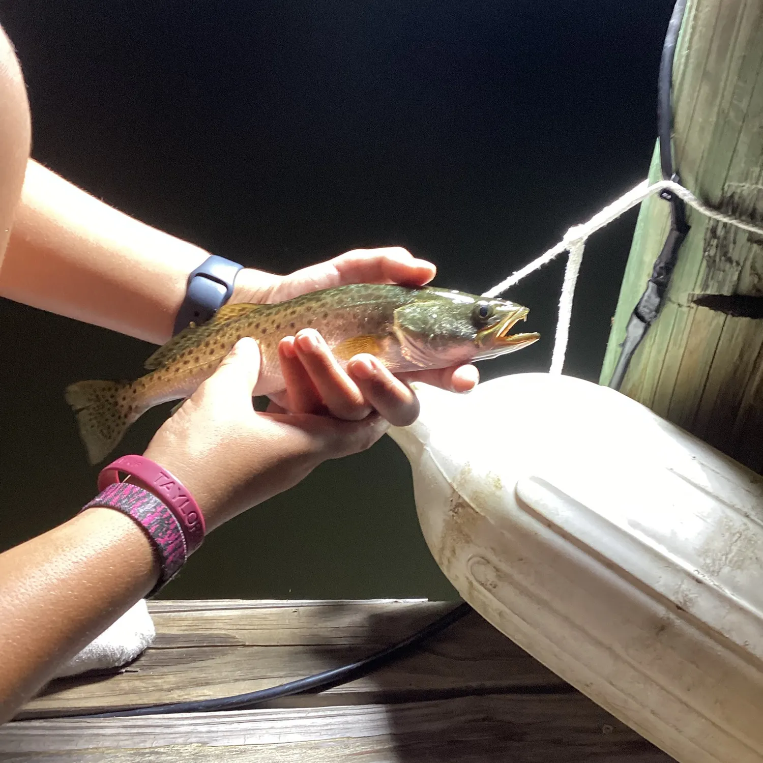 Spotted seatrout caught on Fishbrain