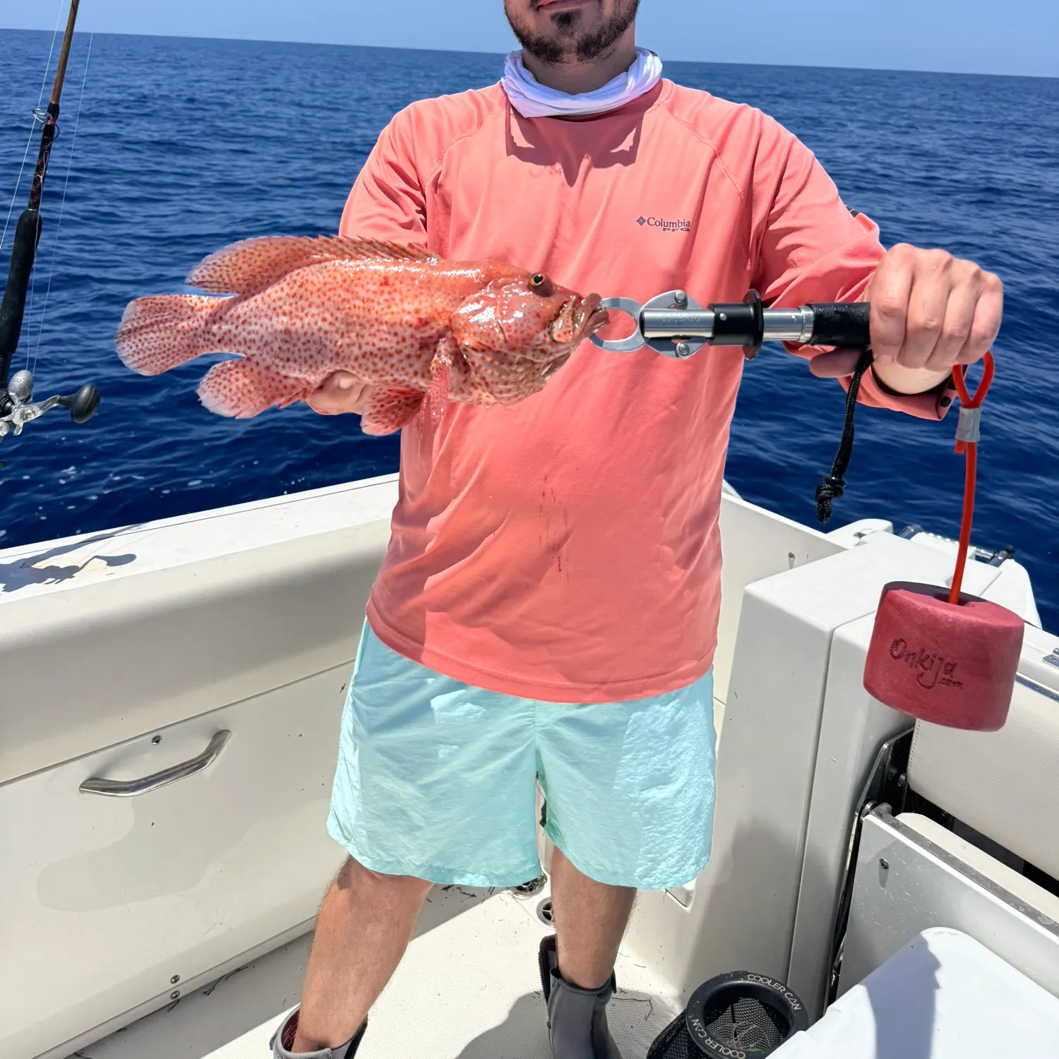 The most recent Graysby grouper catches on Fishbrain