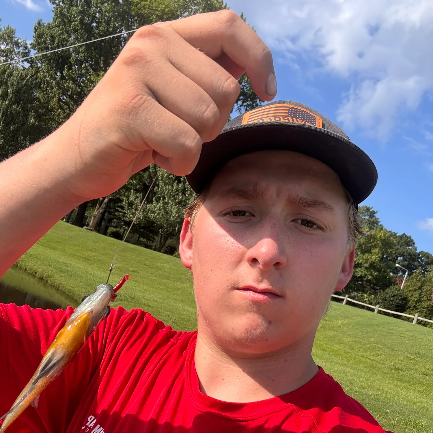 Bluegill caught on Fishbrain