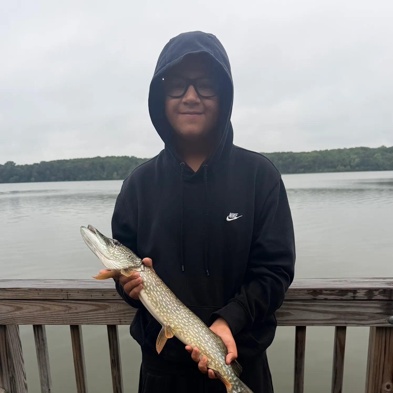 Northern pike caught on Fishbrain