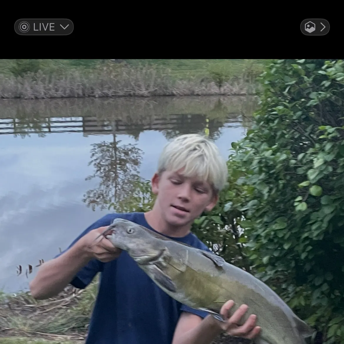 Channel catfish caught on Fishbrain