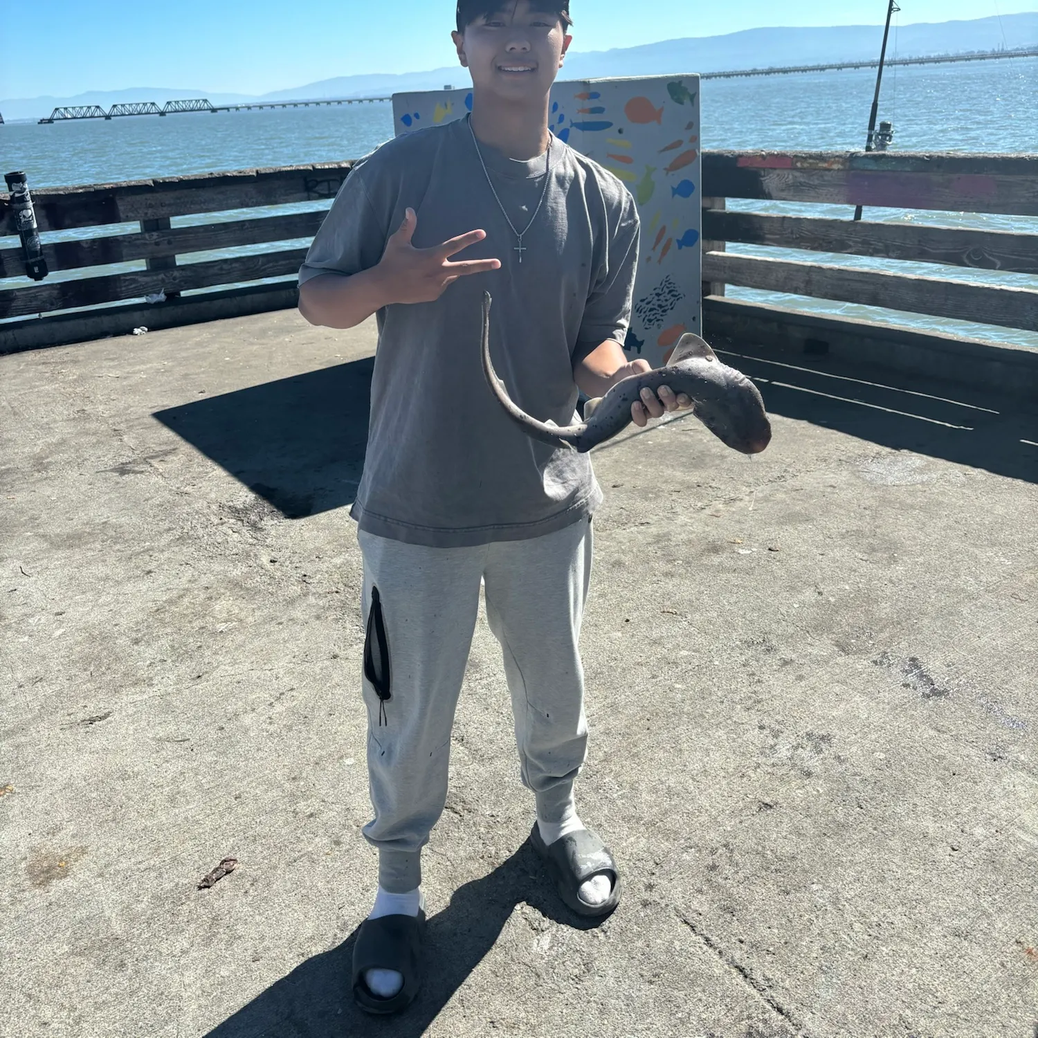 Broadnose sevengill shark caught on Fishbrain
