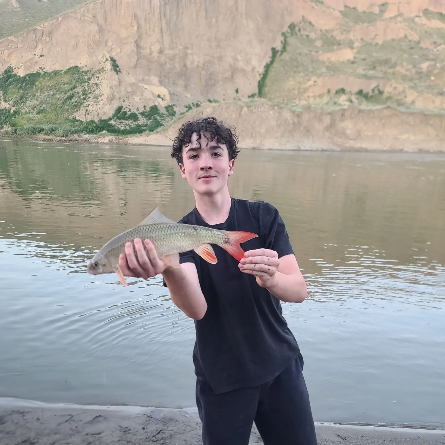 The most recent Smallmouth redhorse catches on Fishbrain