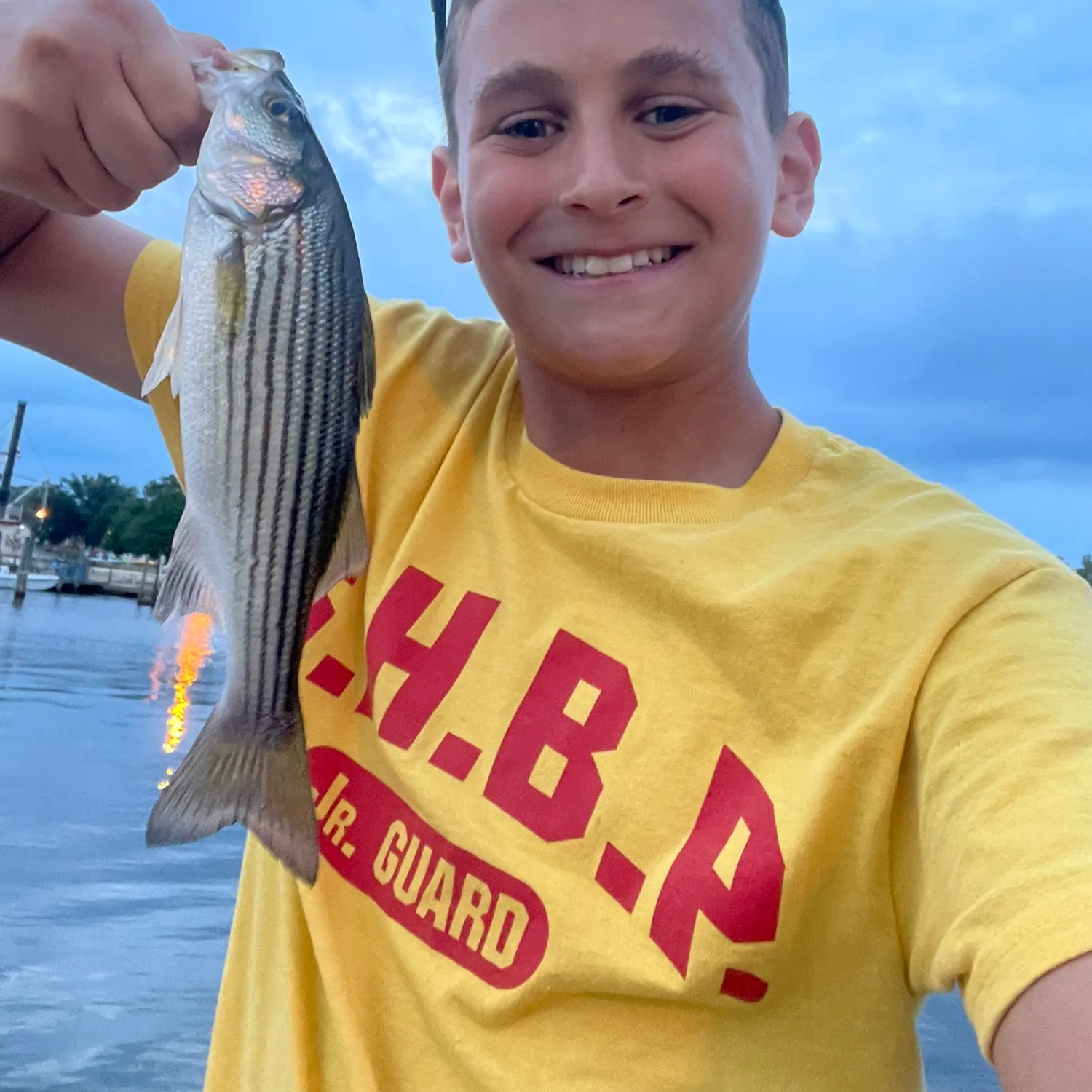 Striped bass caught on Fishbrain