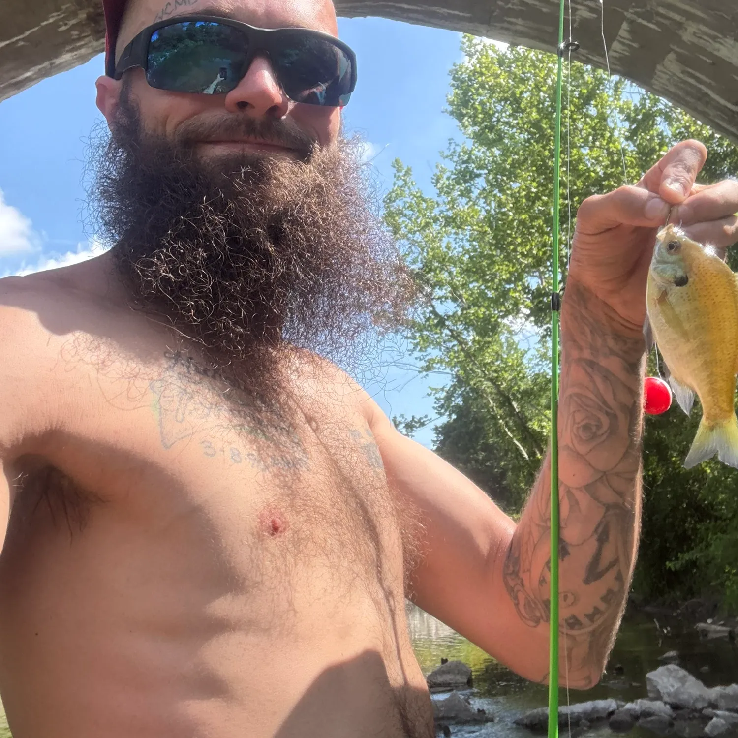 Bluegill caught on Fishbrain