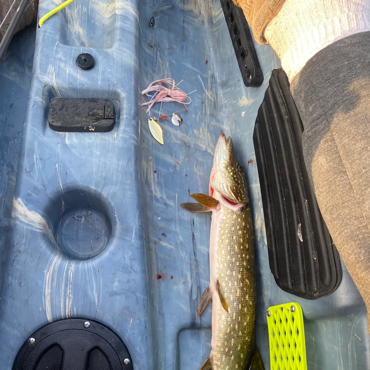 Northern pike caught on Fishbrain
