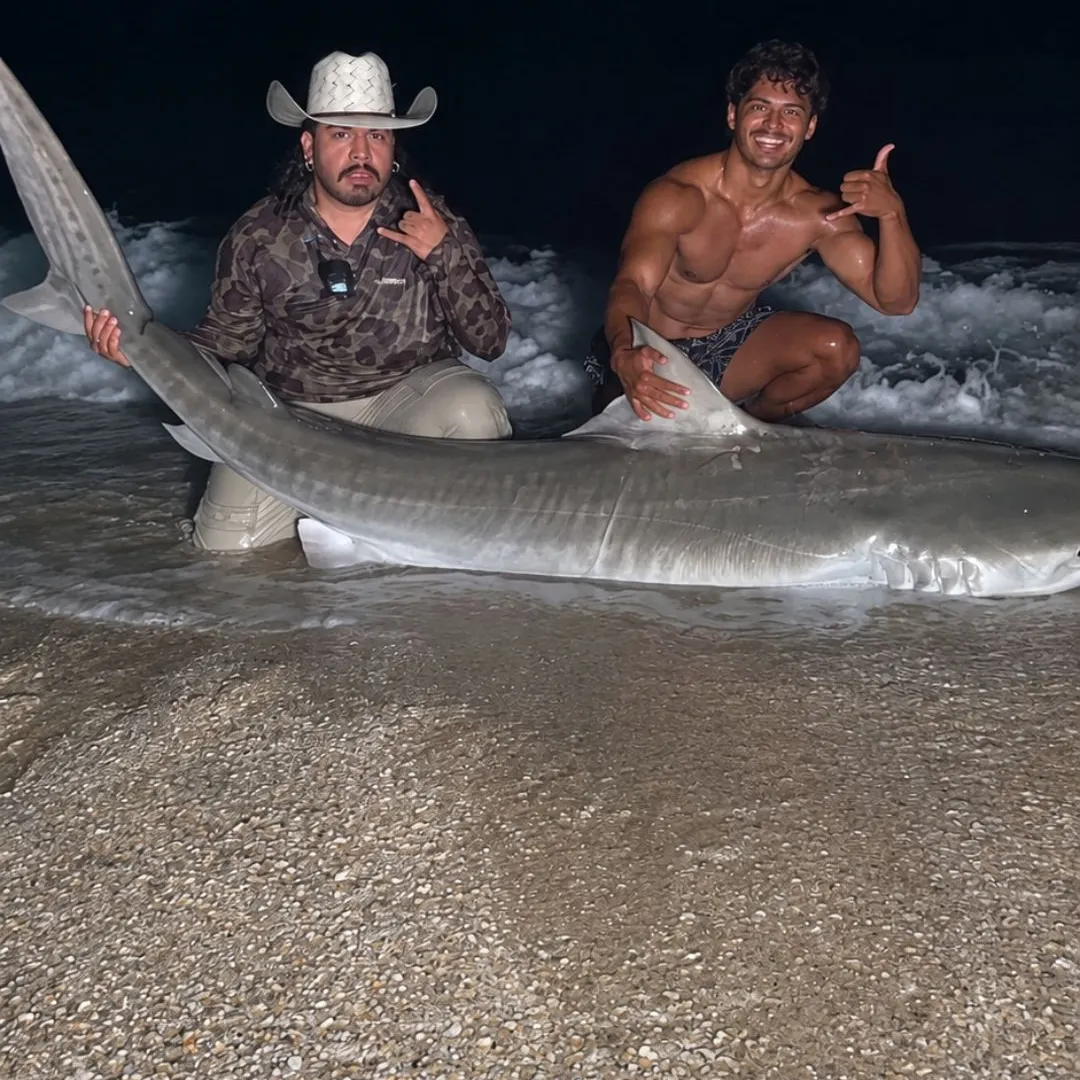 Fish caught on Fishbrain