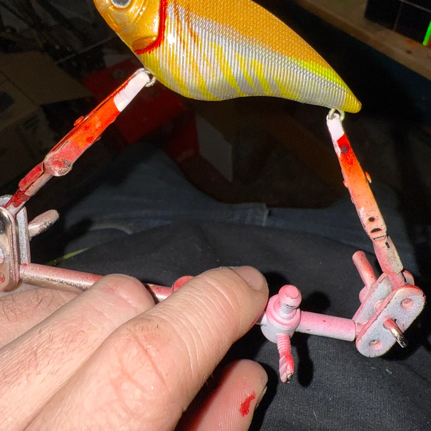 The most recent Yellowtail snapper catches on Fishbrain