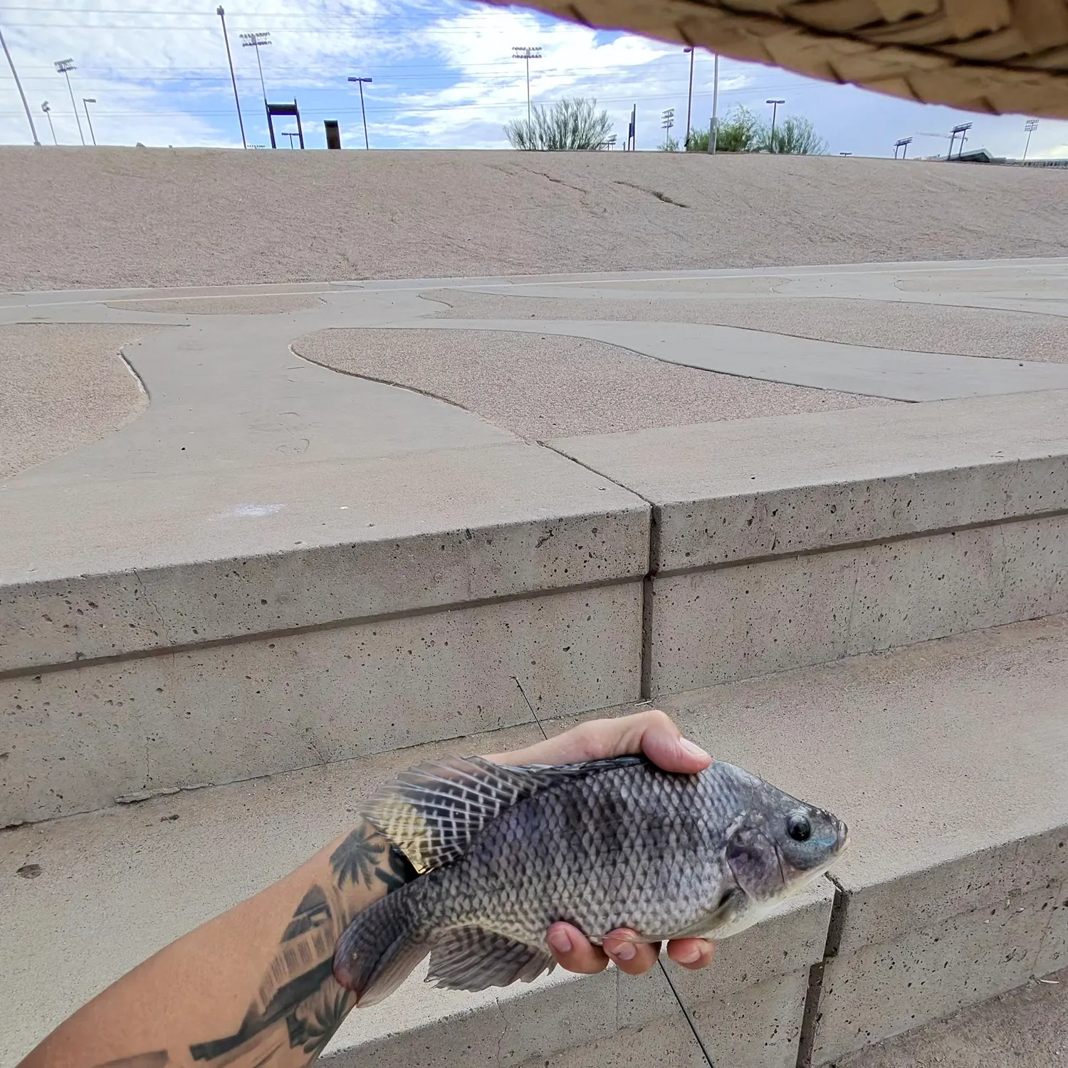 catch
