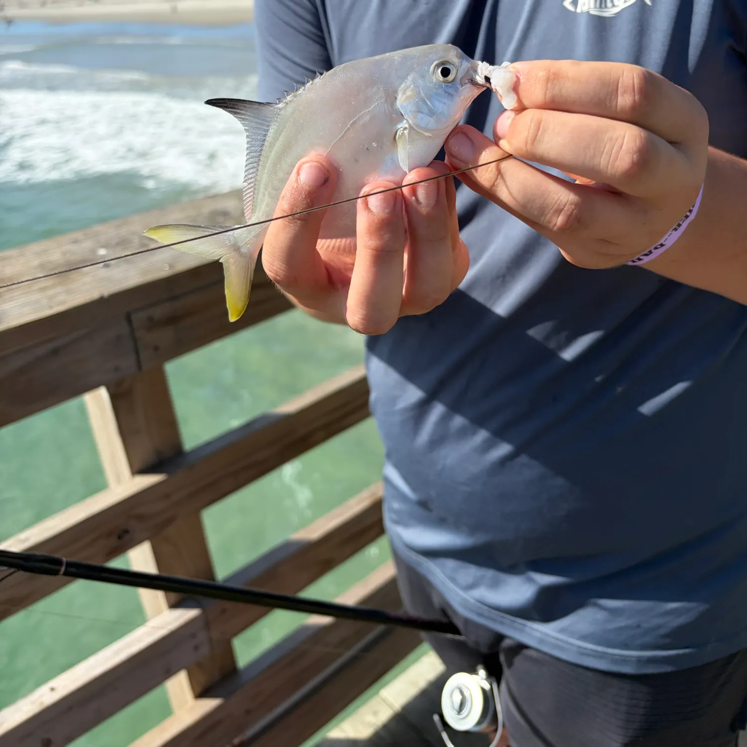 Florida pompano caught on Fishbrain