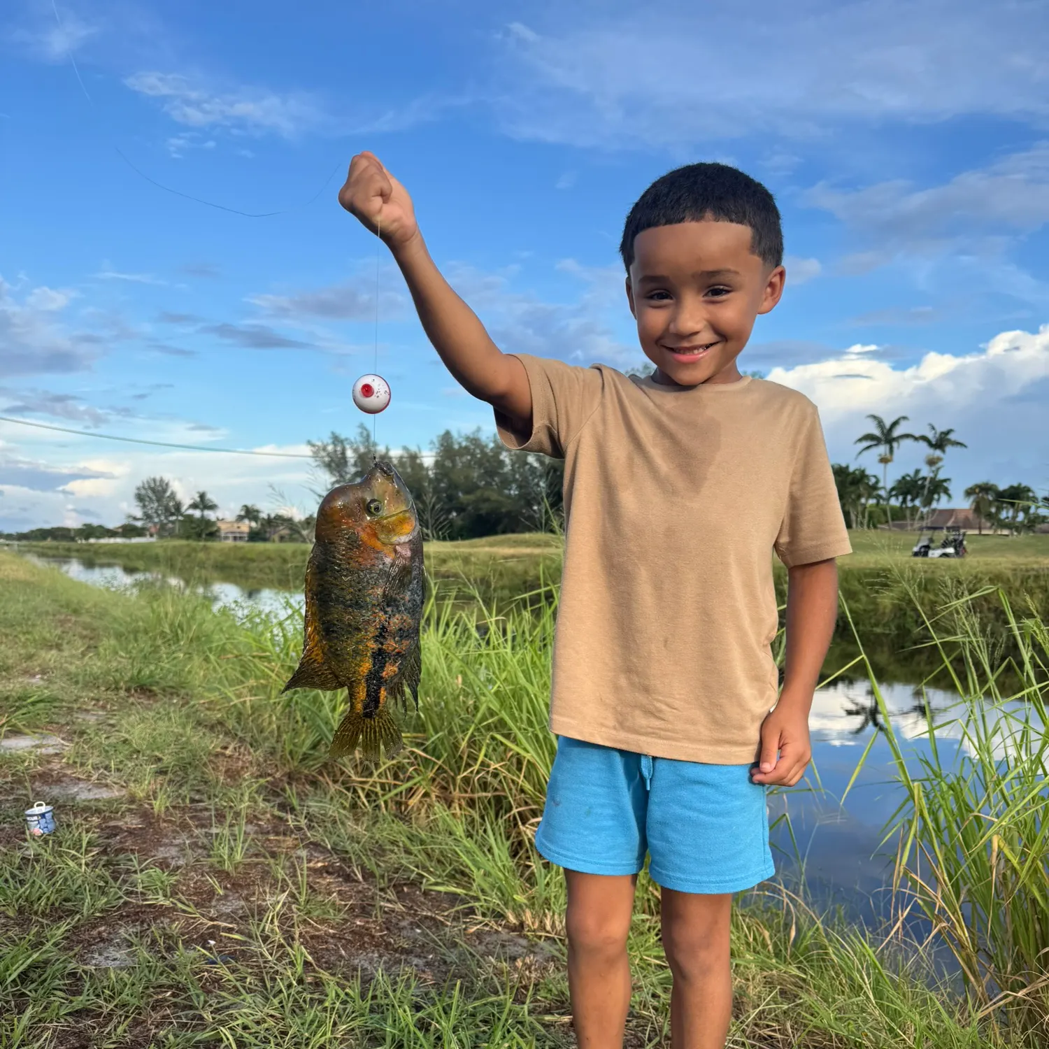 The most recent Redhead cichlid catches on Fishbrain