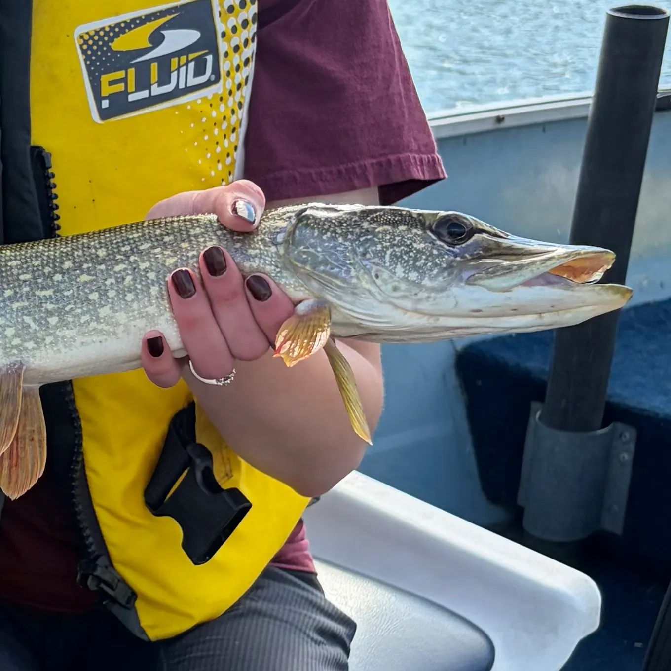 Northern pike caught on Fishbrain