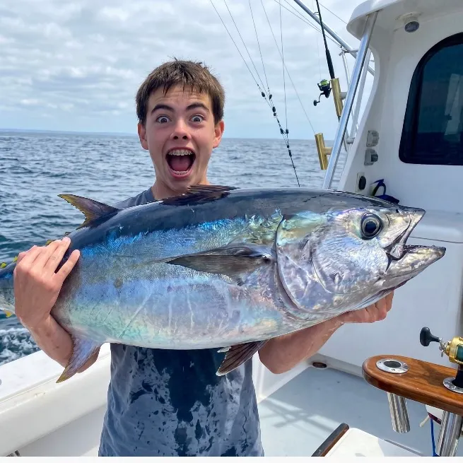 The most recent Southern bluefin tuna catches on Fishbrain