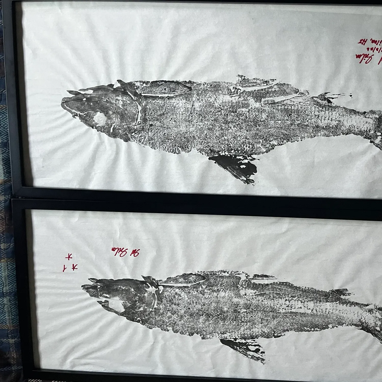 recently logged catches