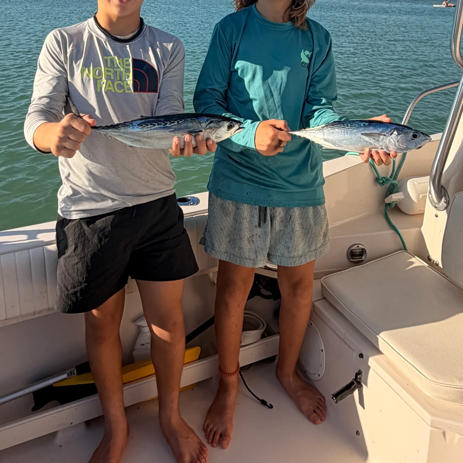 The most recent Striped bonito catches on Fishbrain