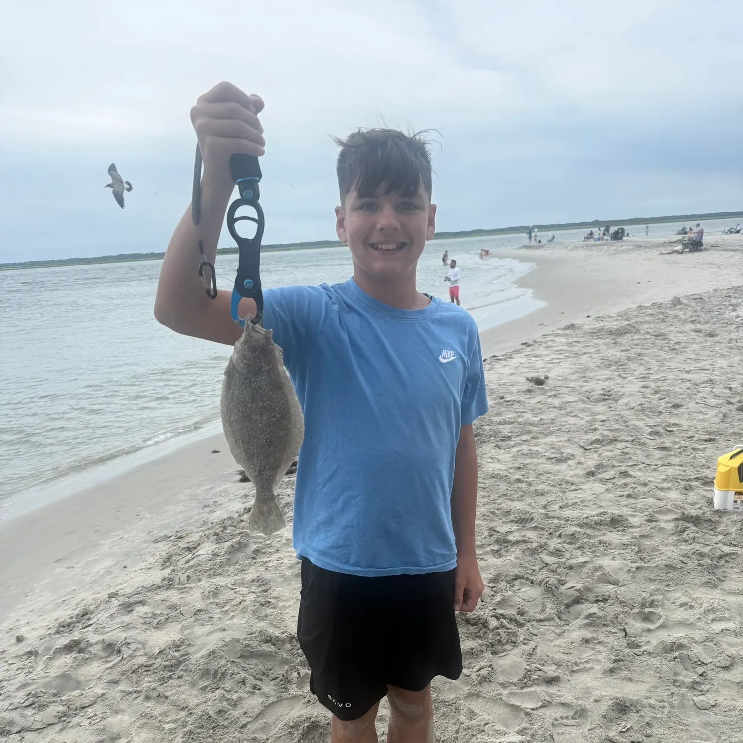Summer flounder caught on Fishbrain