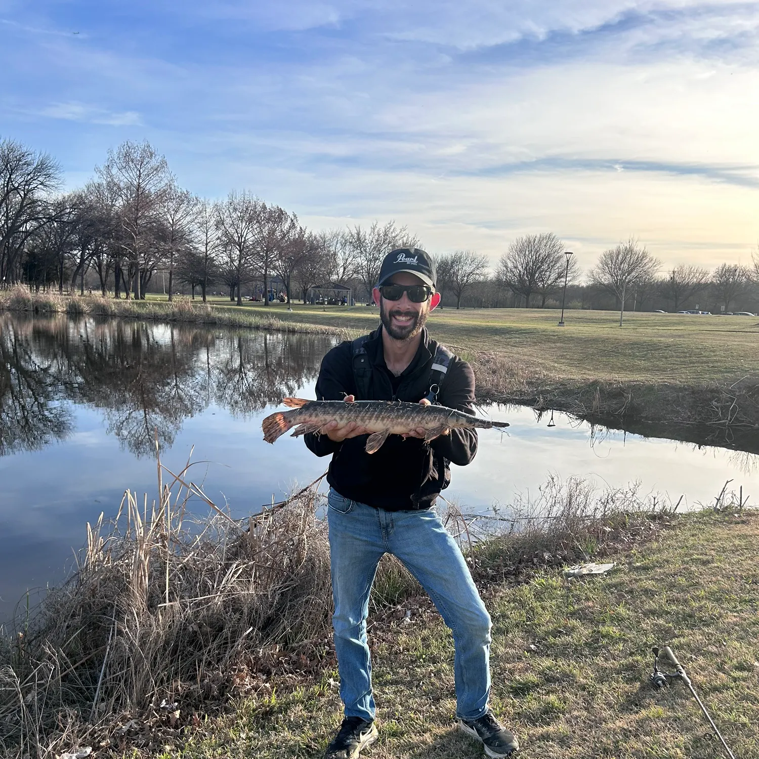 The most recent Spotted gar catches on Fishbrain