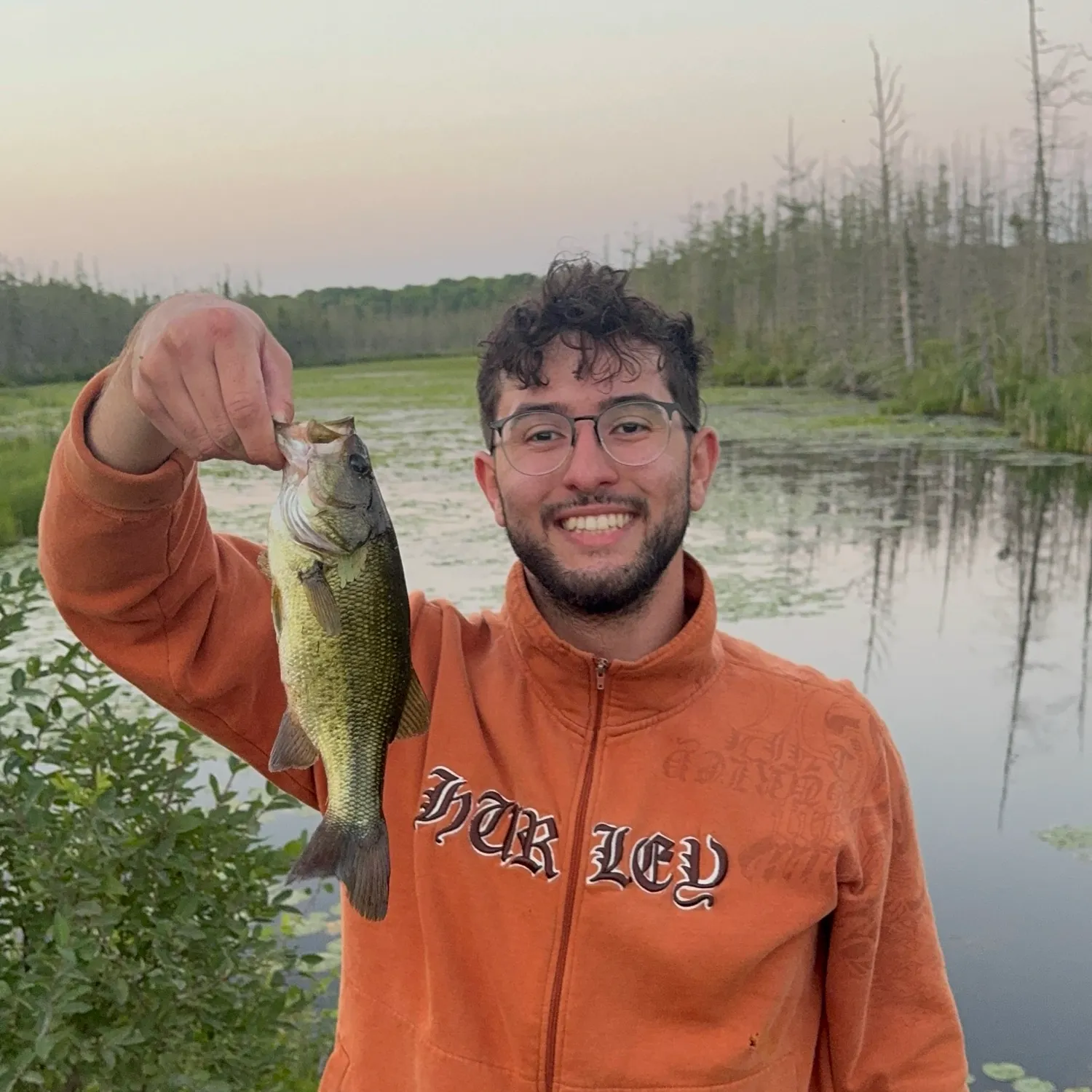 Largemouth bass caught on Fishbrain