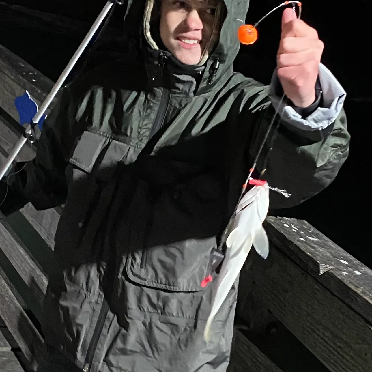 The most recent Gulf kingcroaker catches on Fishbrain