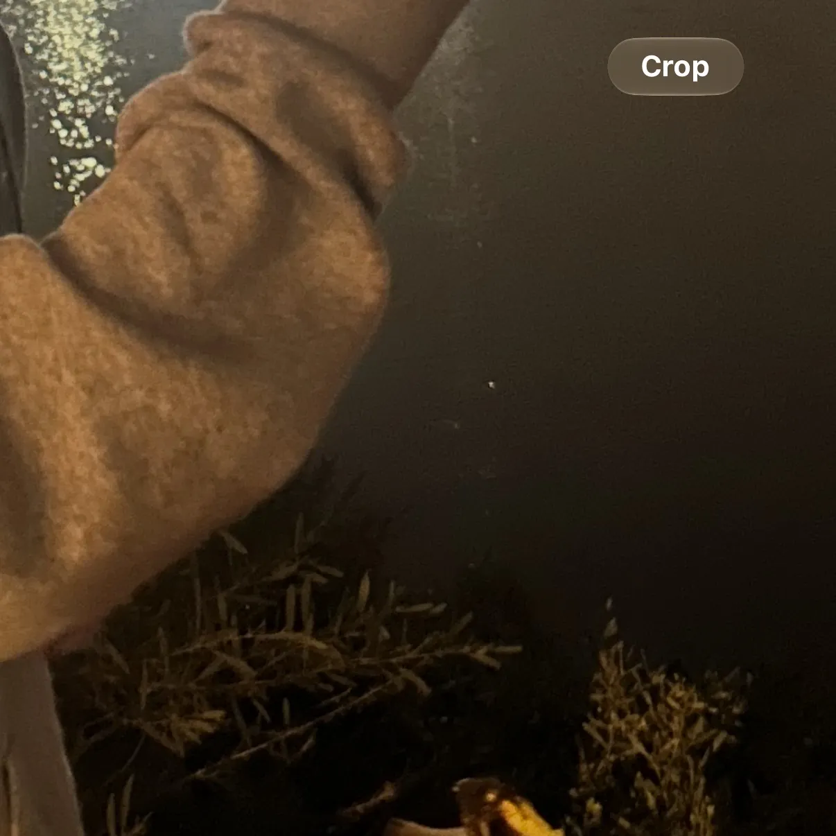 The most recent California halibut catches on Fishbrain