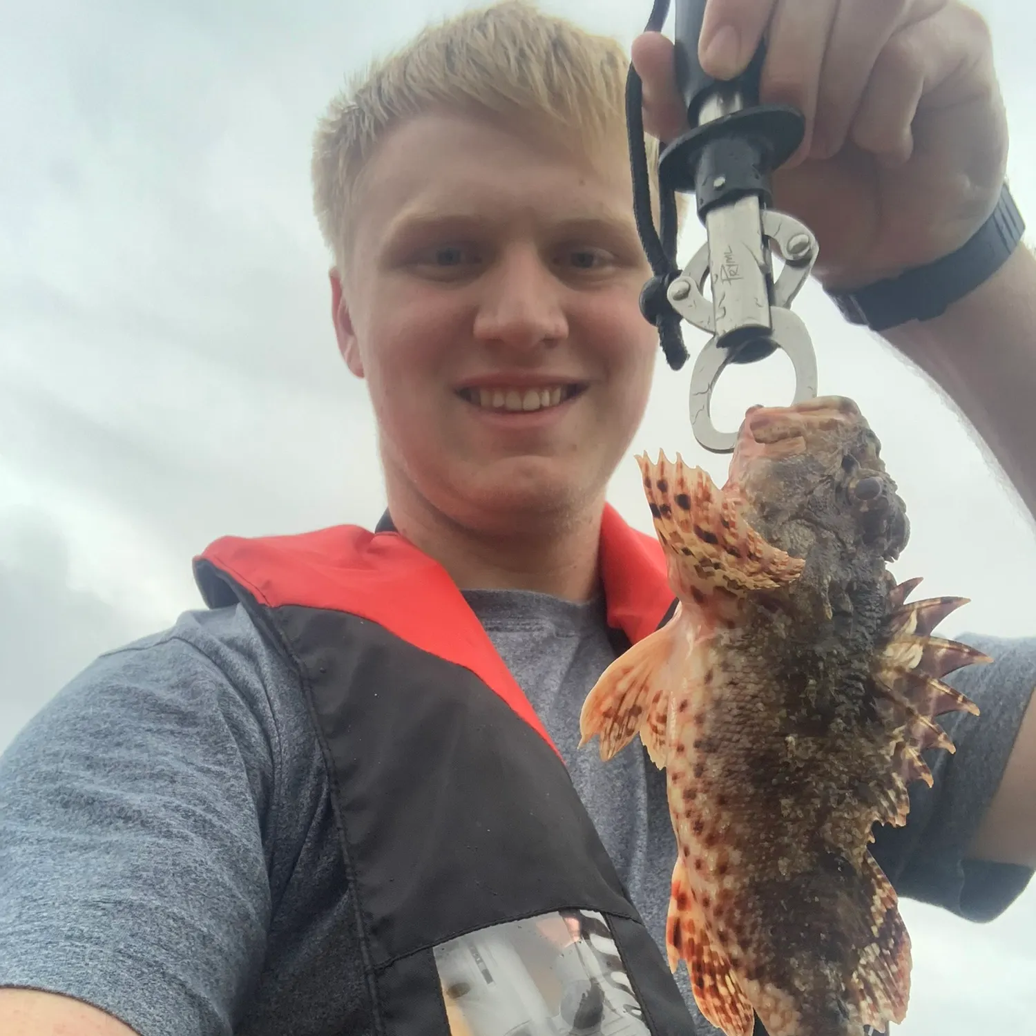 The most recent Eastern red scorpionfish catches on Fishbrain