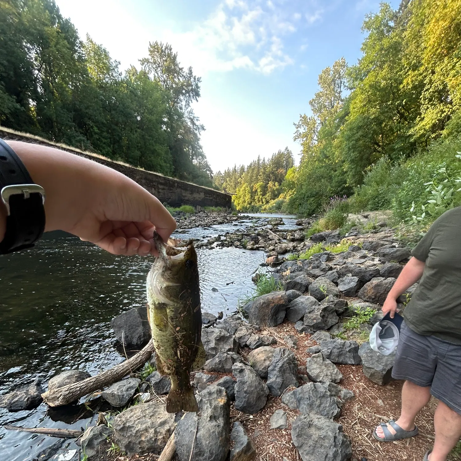 catch