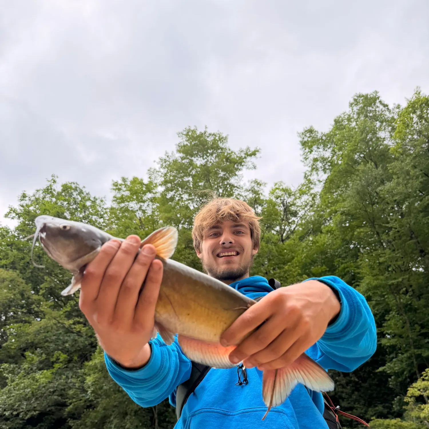 Channel catfish caught on Fishbrain