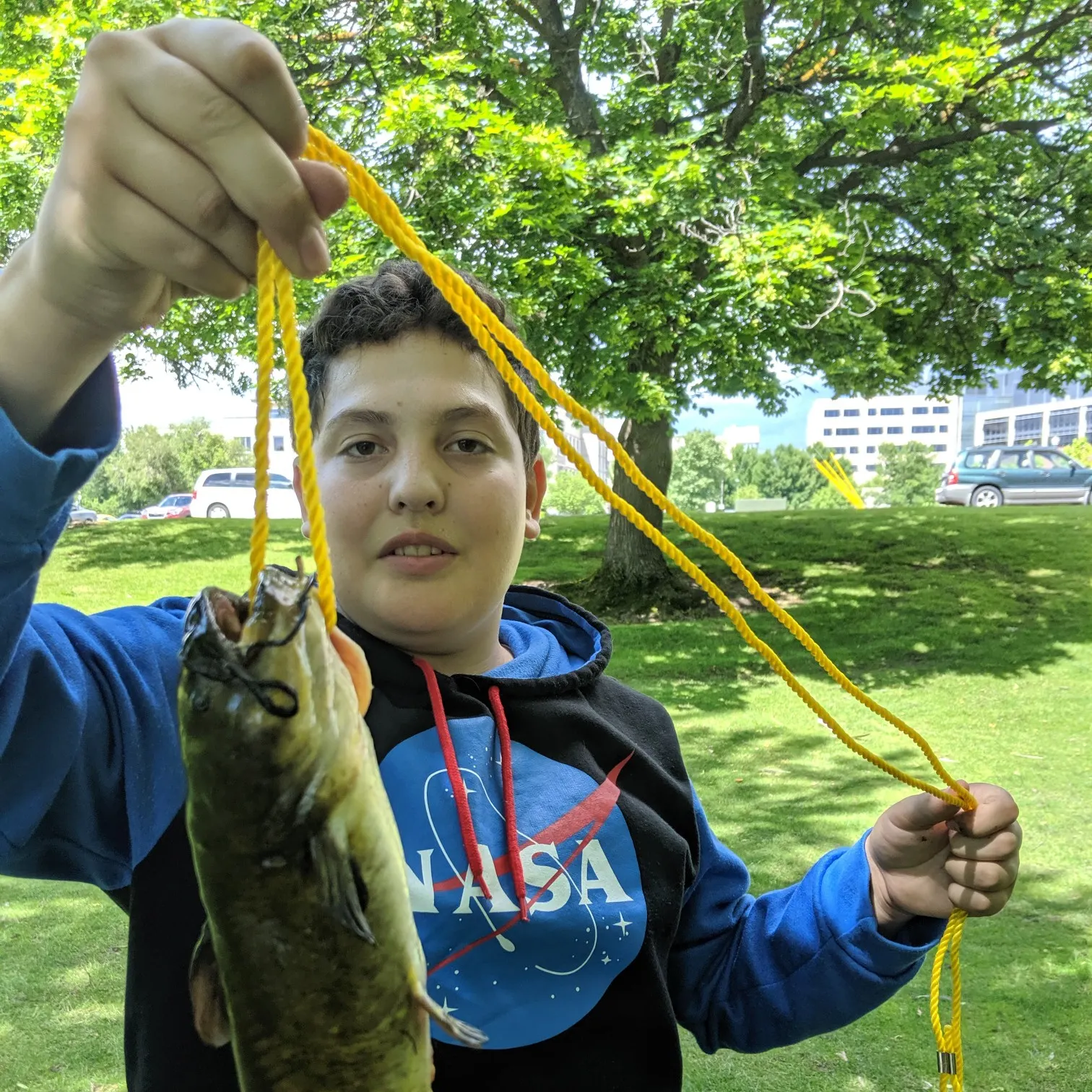 Fish caught on Fishbrain