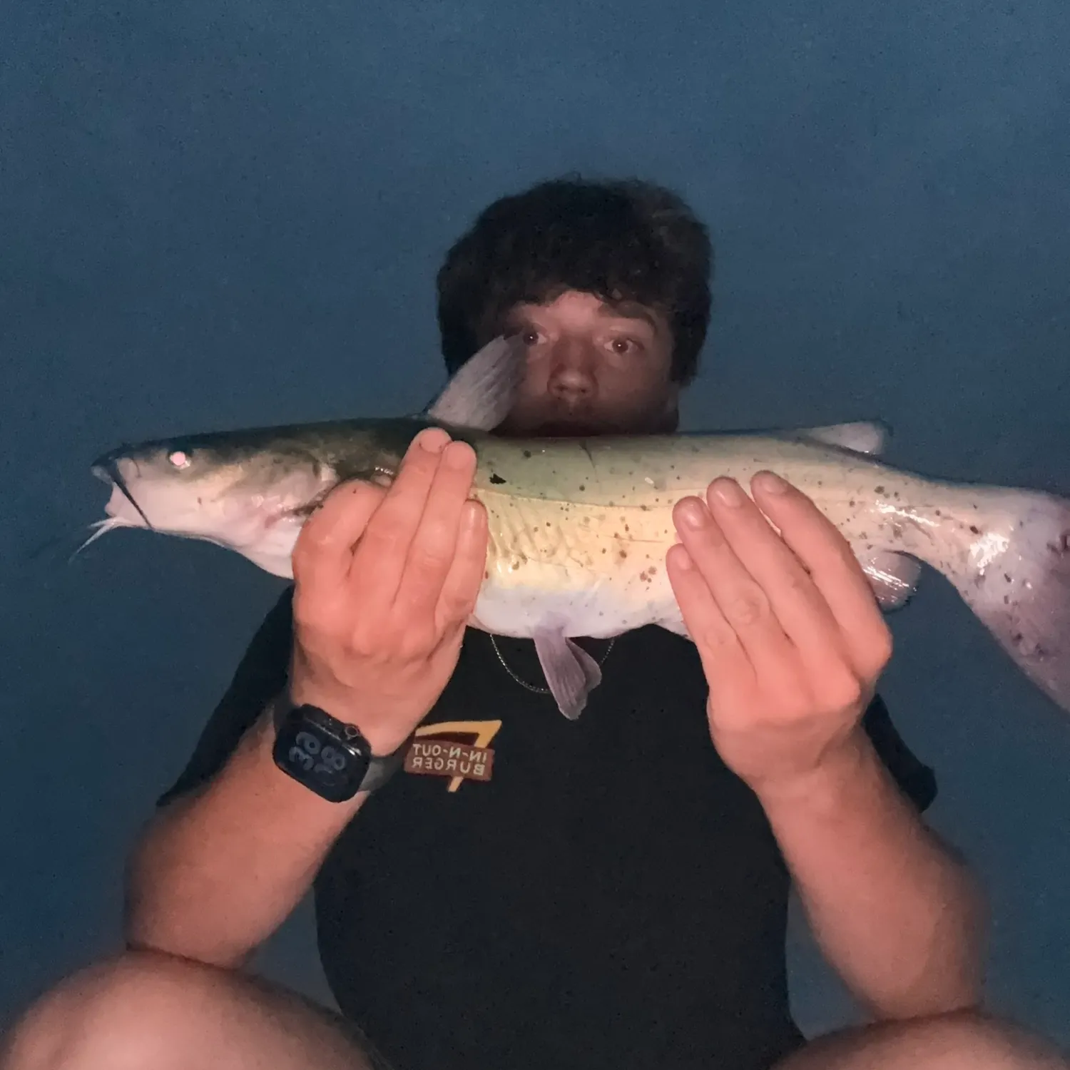 Channel catfish caught on Fishbrain