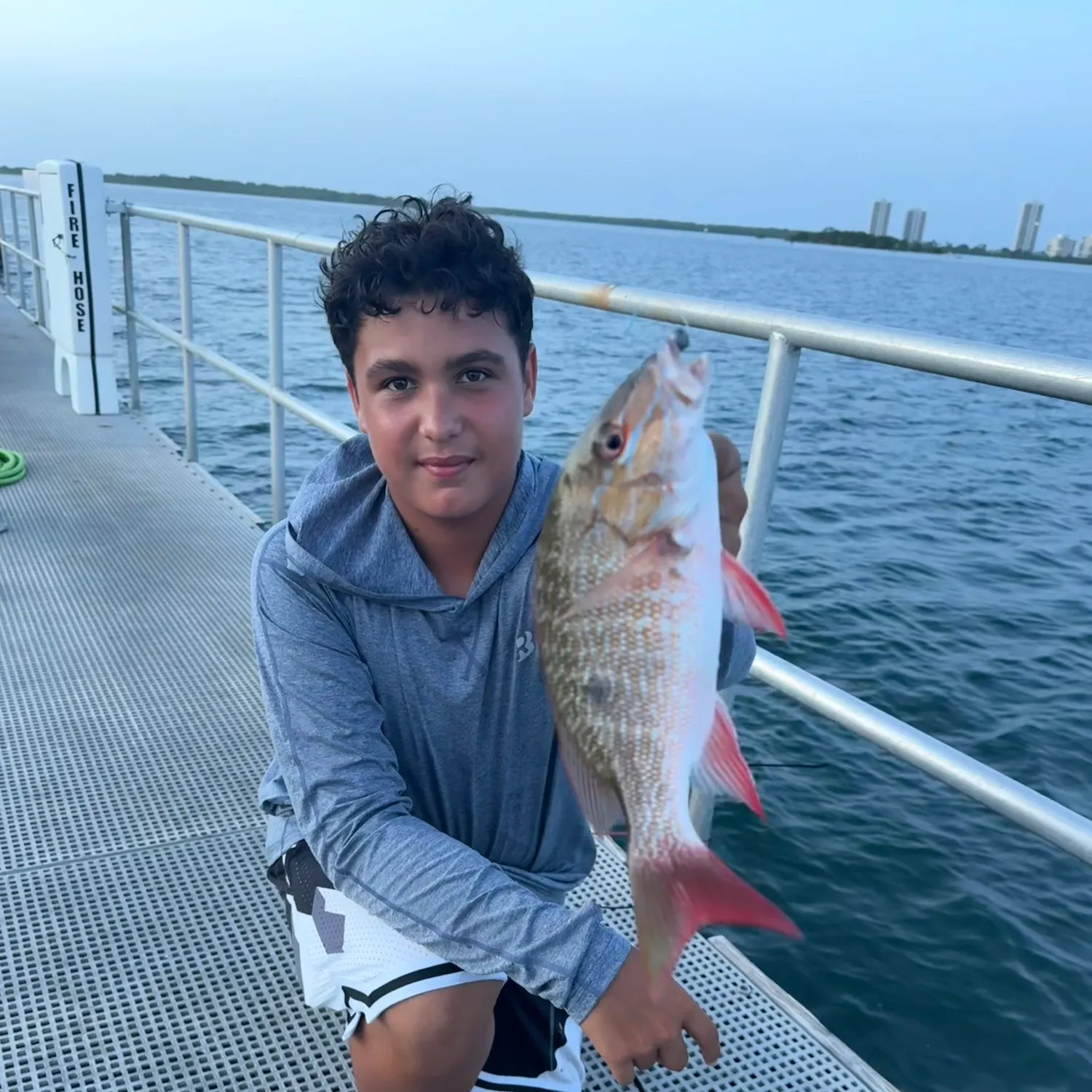 The most recent Mutton snapper catches on Fishbrain
