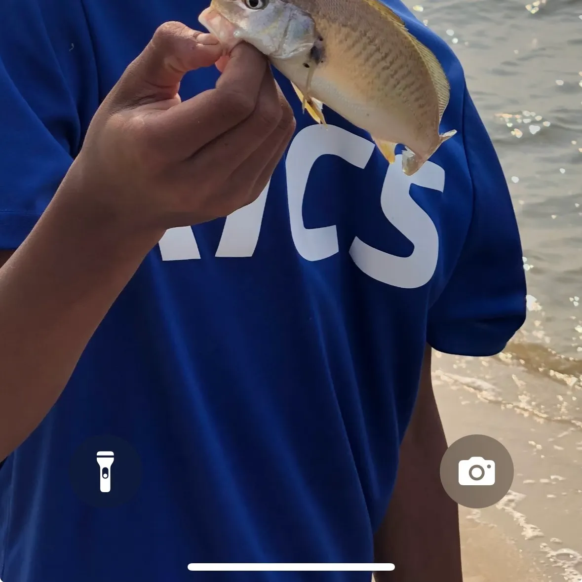 The most recent Freshwater drum catches on Fishbrain