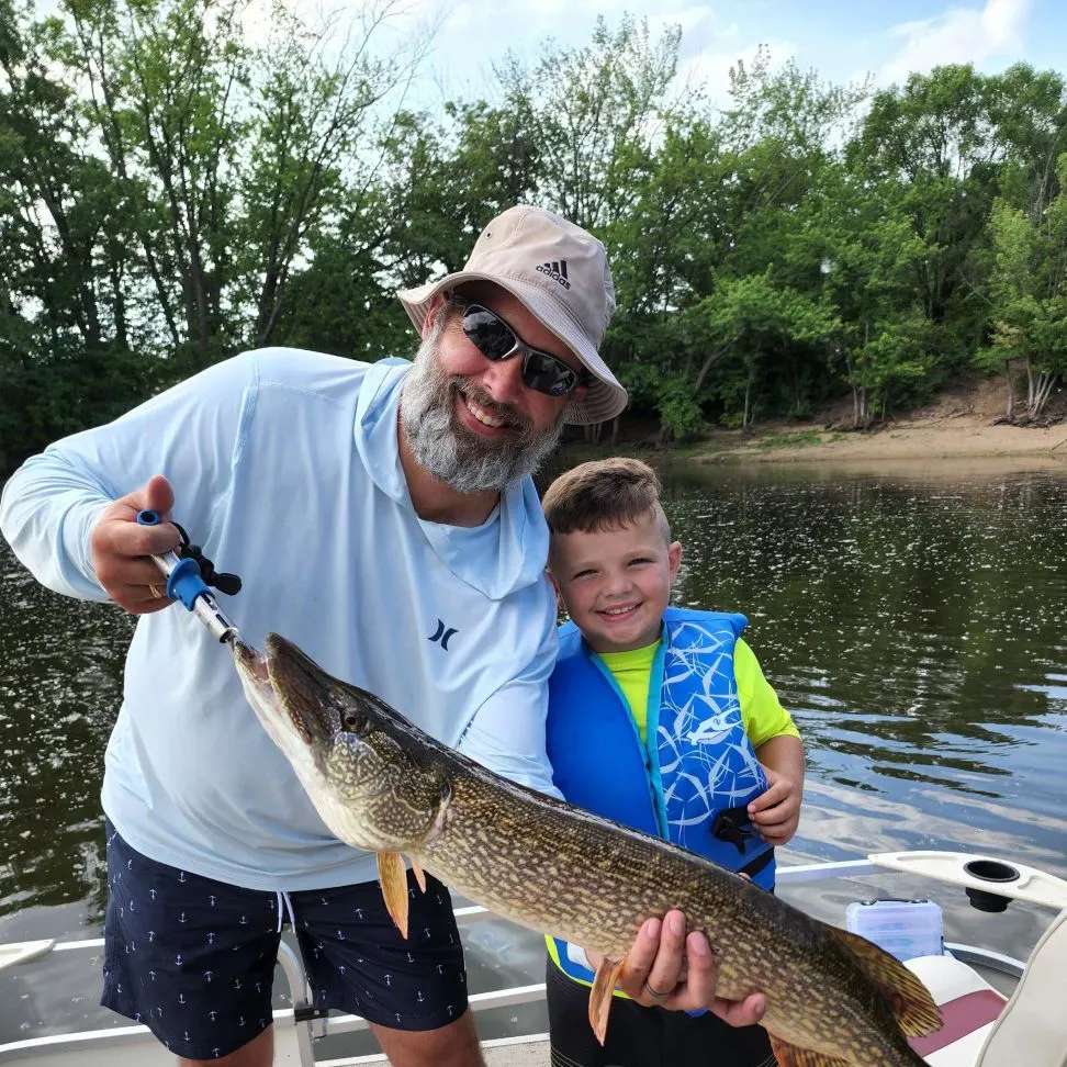 Northern pike caught on Fishbrain