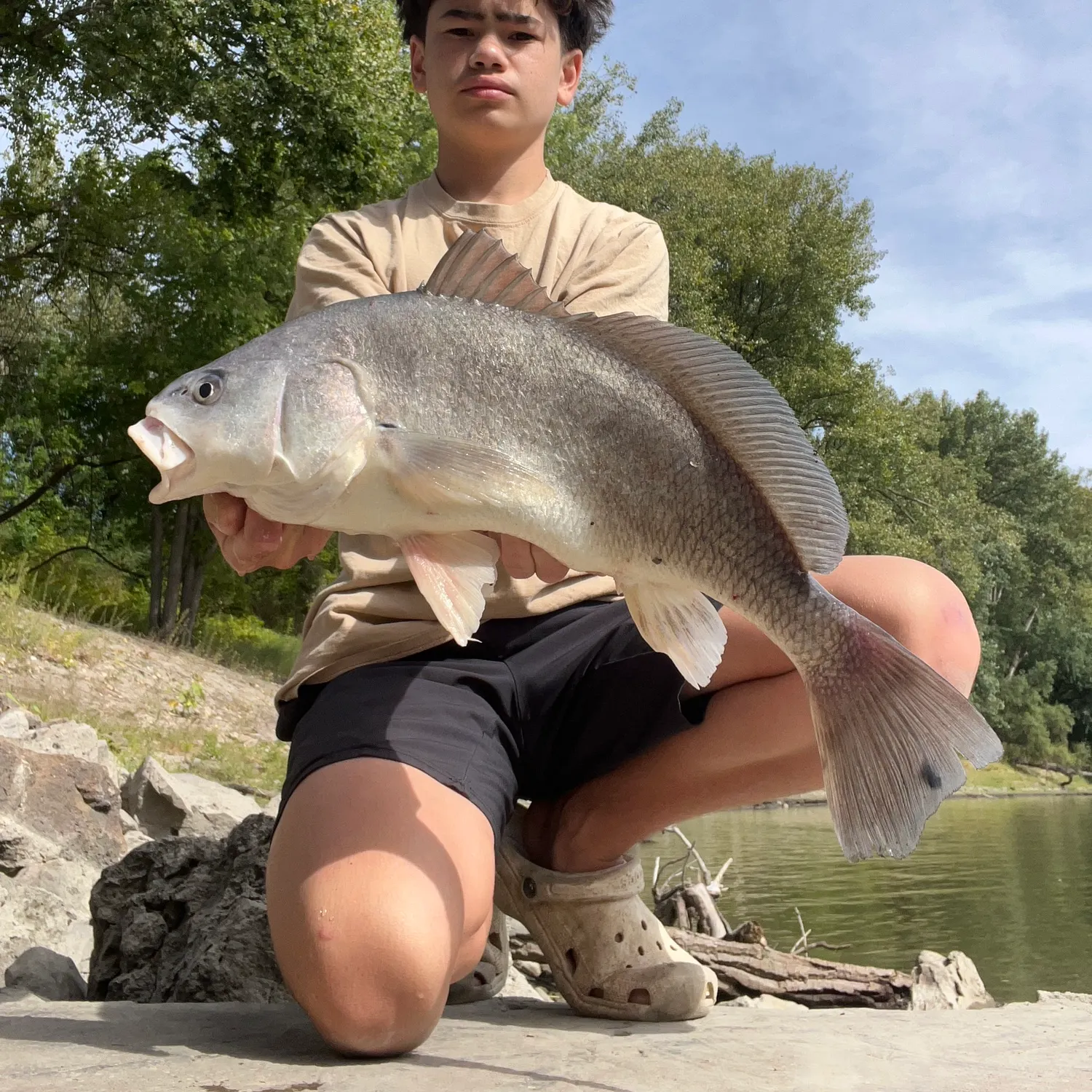 Freshwater drum caught on Fishbrain