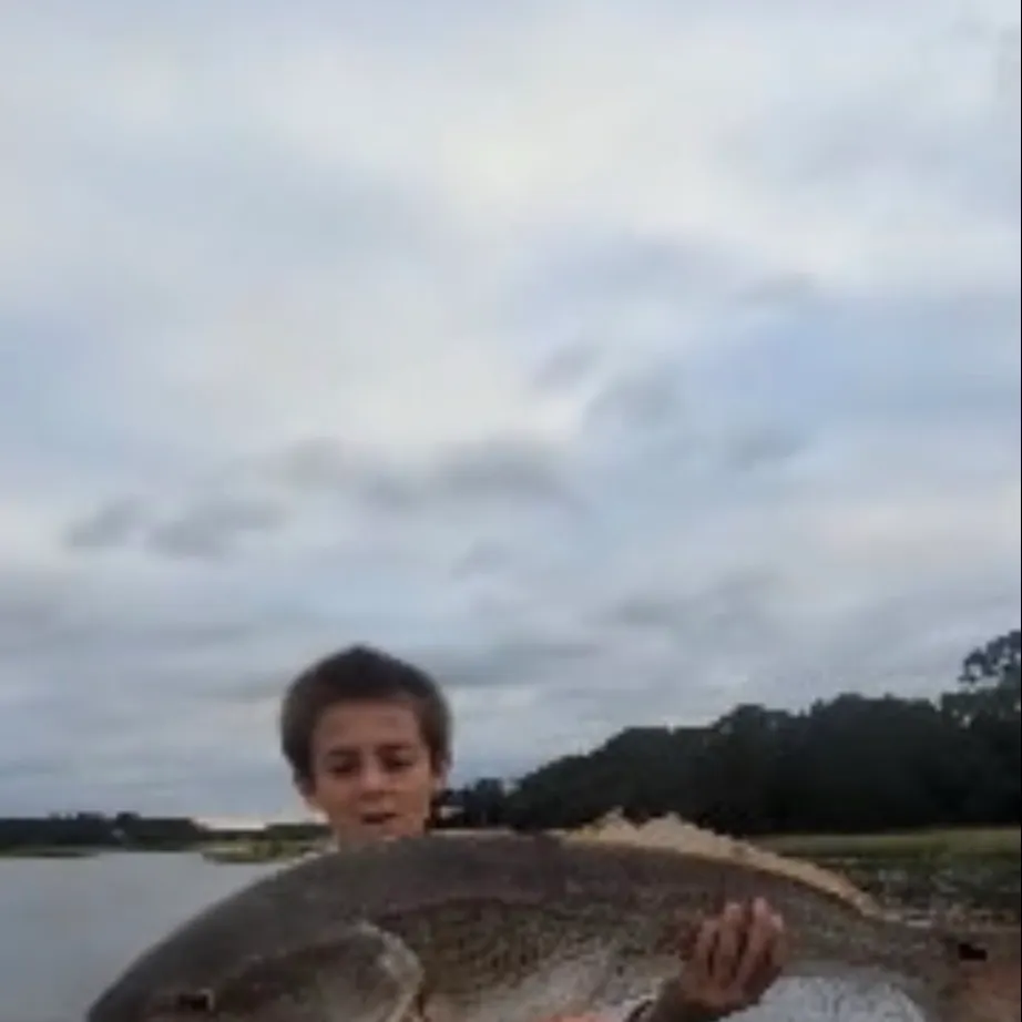 Fish caught on Fishbrain