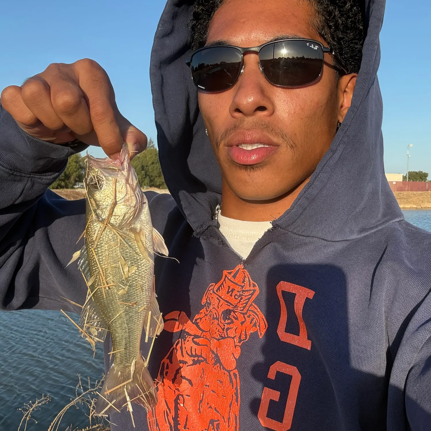 Largemouth bass caught on Fishbrain