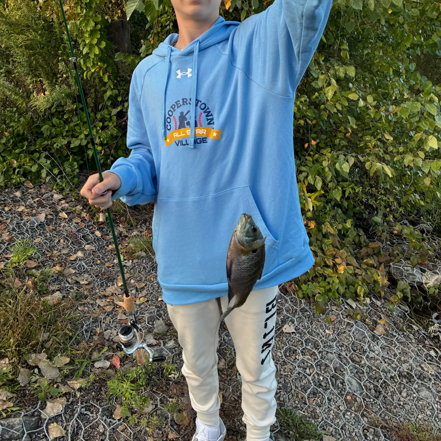 The most recent Bluegill catches on Fishbrain