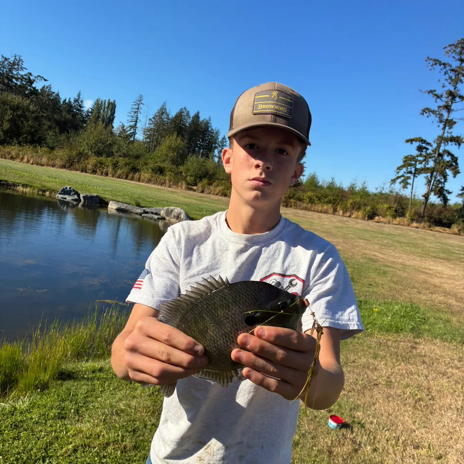 Bluegill caught on Fishbrain