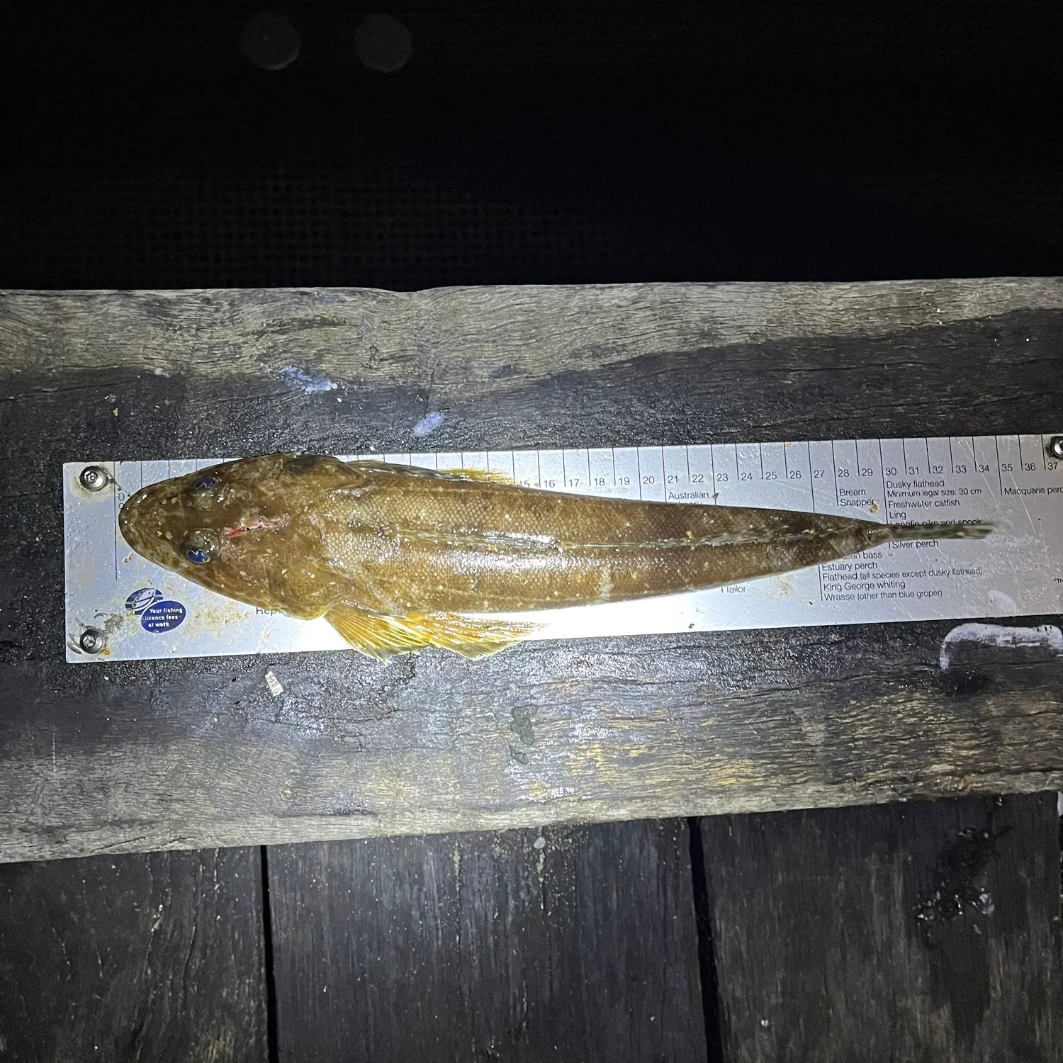 recently logged catches