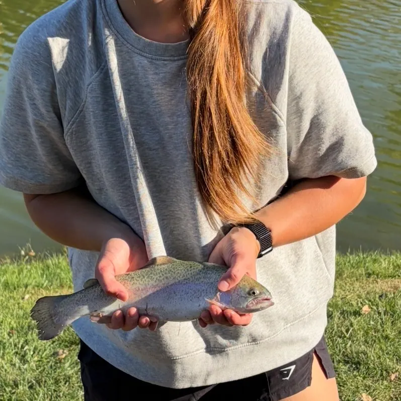 Rainbow trout caught on Fishbrain